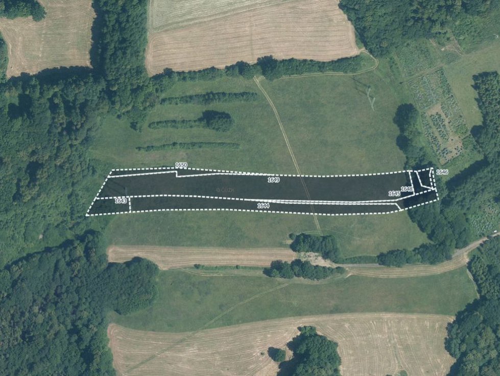 Prodej louky 15002 m², Lešná