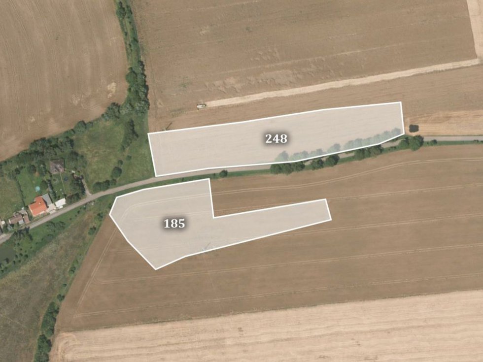 Prodej zemědělské půdy 11255 m², Ptice