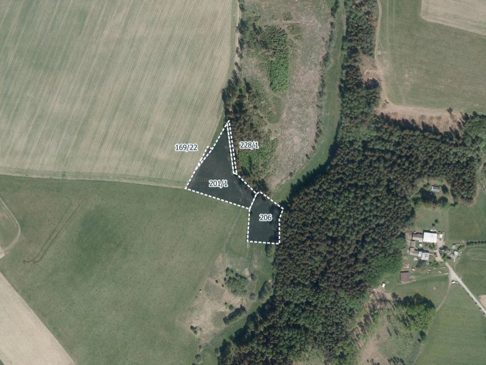 Prodej louky 4224 m², Číhošť