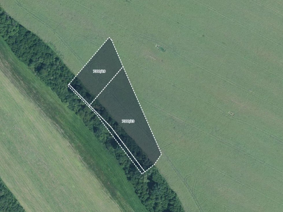 Prodej zemědělské půdy 5689 m², Strážnice