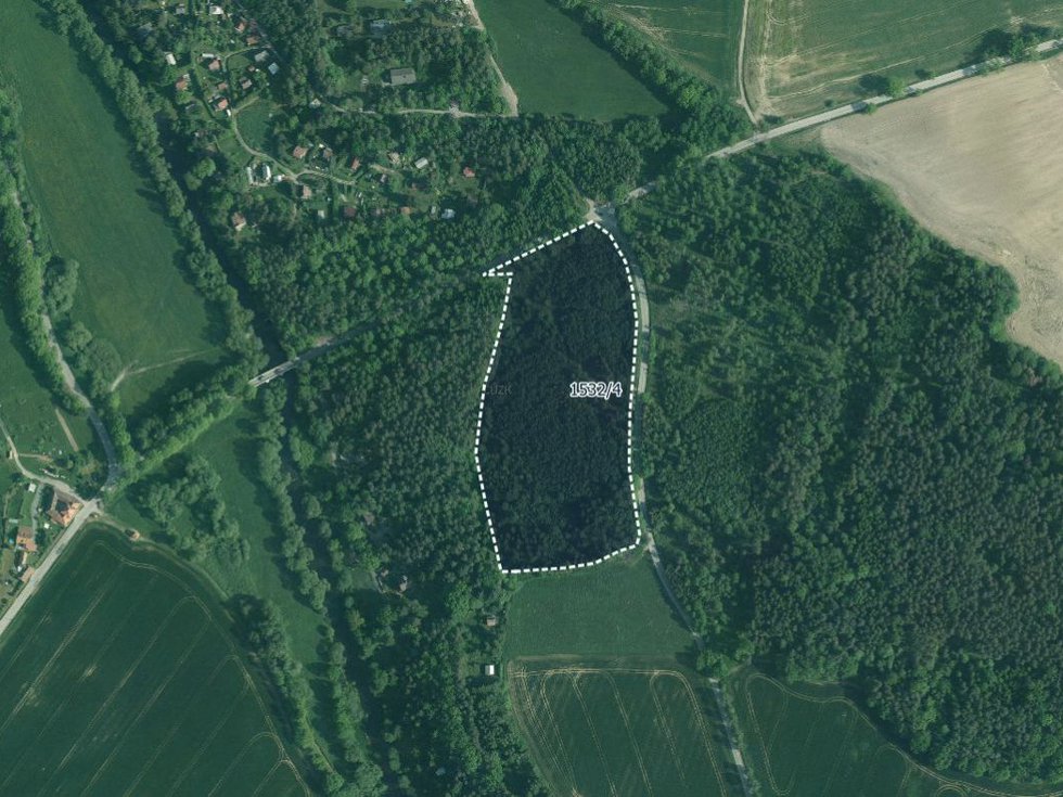 Prodej lesa 34065 m², Římov