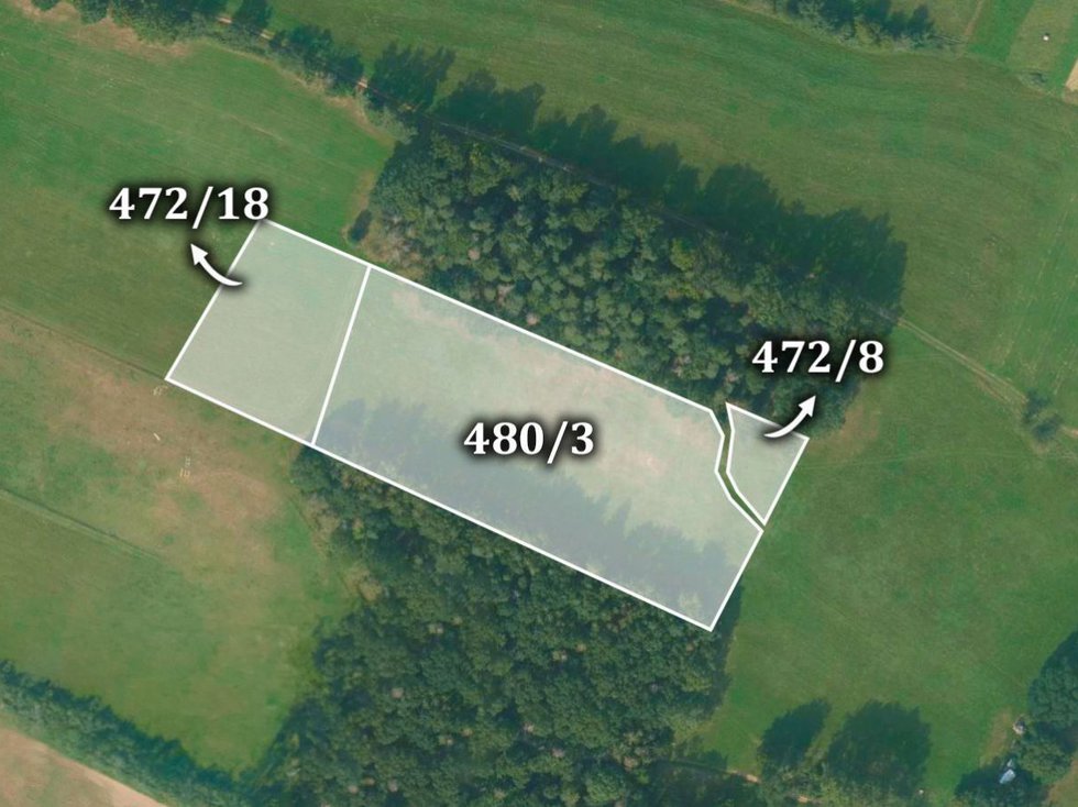 Prodej zemědělské půdy 16996 m², Olešnice