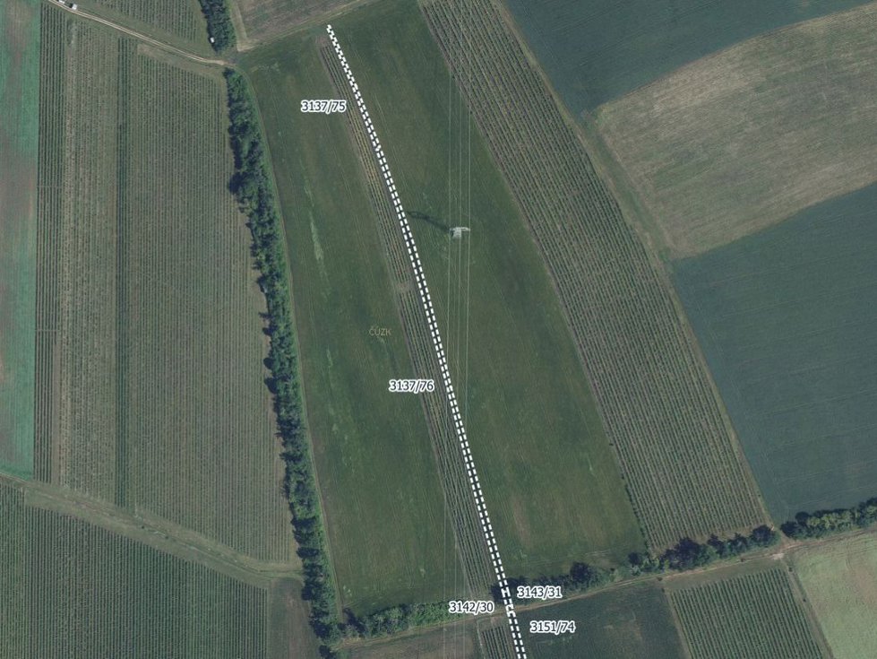 Prodej zemědělské půdy 5232 m², Prušánky