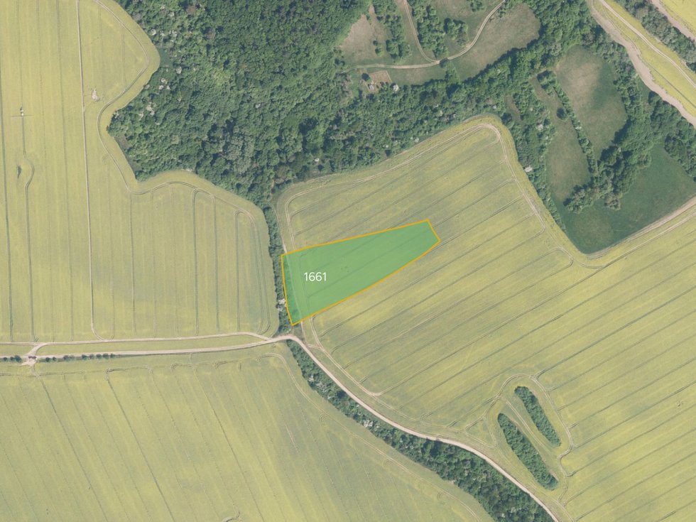 Prodej zemědělské půdy 4881 m², Traplice