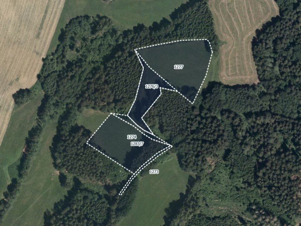 Prodej louky 14976 m², Oldřiš