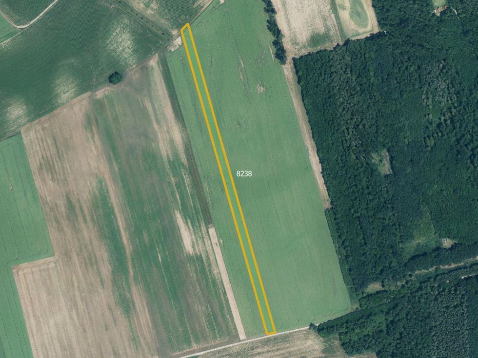 Prodej zemědělské půdy 5938 m², Hovorany