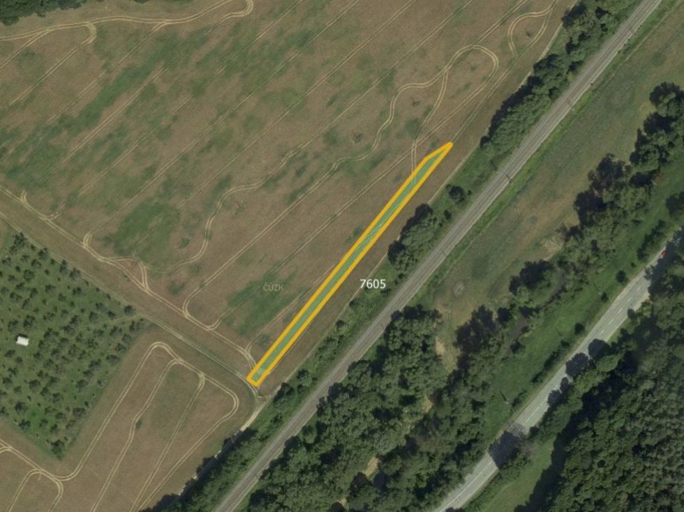 Prodej zemědělské půdy 4595 m², Doubravice nad Svitavou