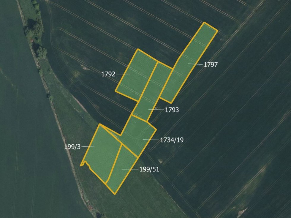 Prodej zemědělské půdy 9908 m², Řečice