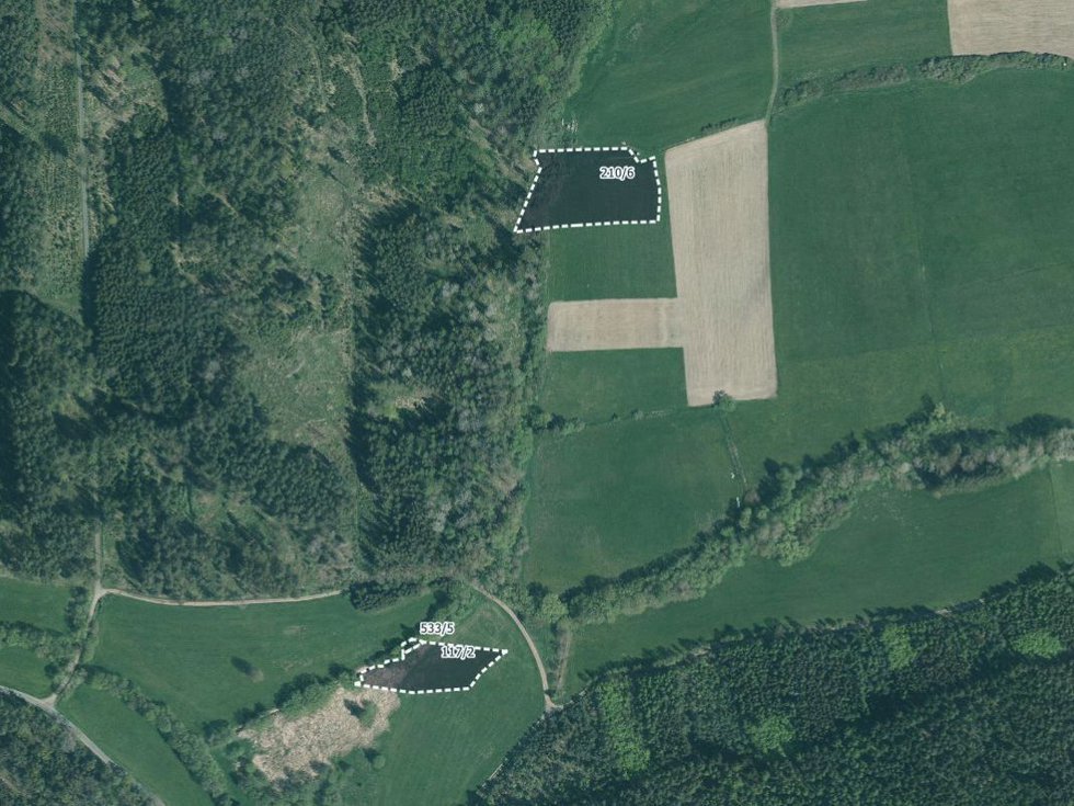 Prodej louky 8741 m², Vlčí