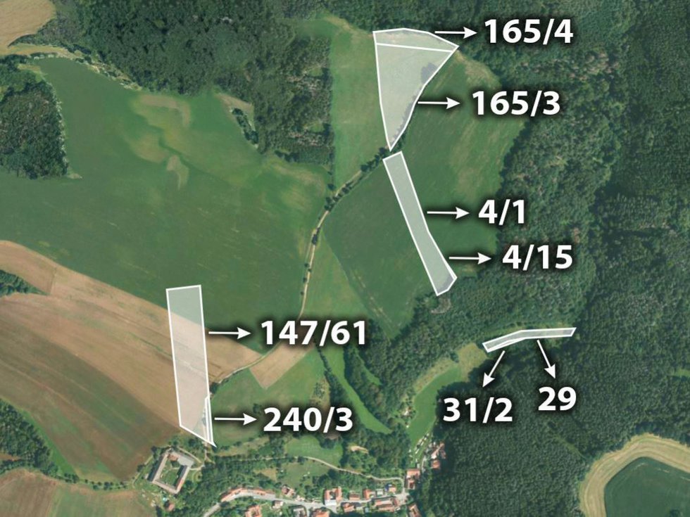 Prodej zemědělské půdy 9747 m², Letovice