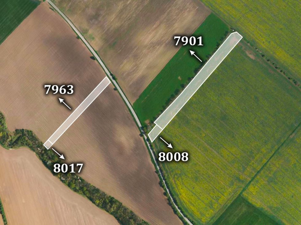 Prodej zemědělské půdy 20922 m²