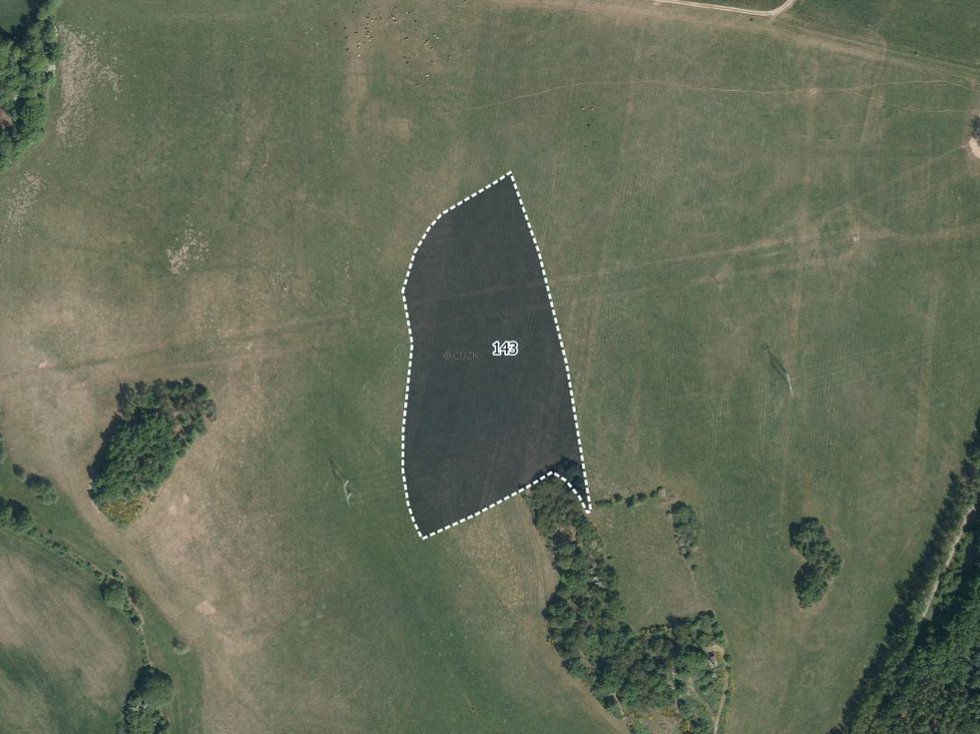 Prodej louky 7883 m², Morašice