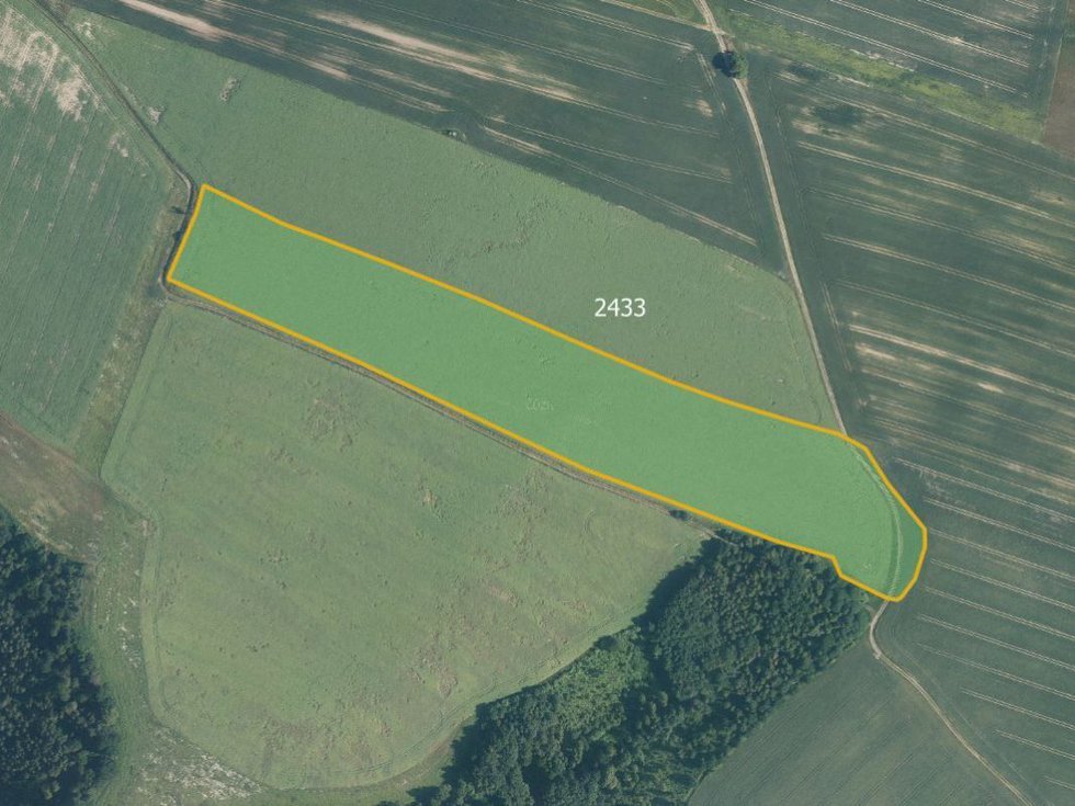 Prodej zemědělské půdy 43030 m², Jindřichov