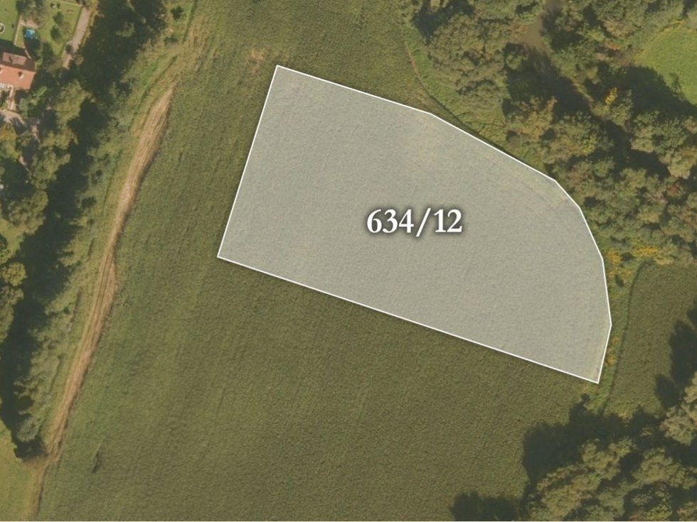 Prodej zemědělské půdy 10249 m², Albrechtice