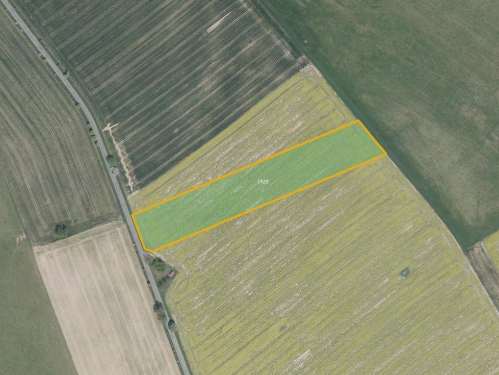 Prodej zemědělské půdy 15503 m², Číhošť
