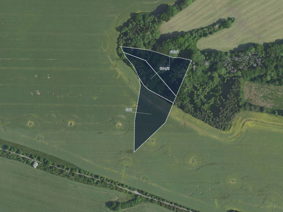 Prodej zemědělské půdy 14369 m², Výžerky