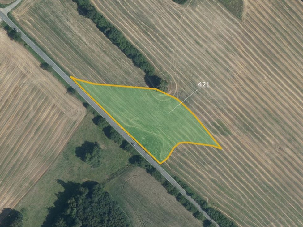 Prodej louky 9806 m², Zborov