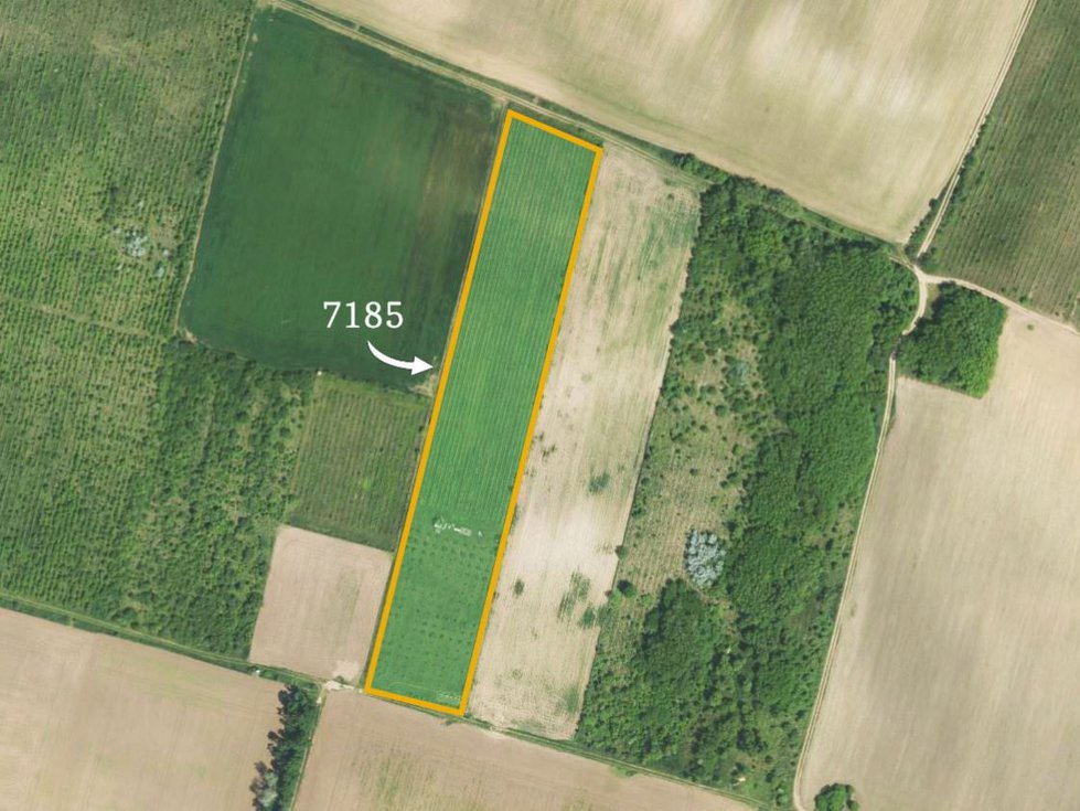 Prodej zemědělské půdy 15125 m², Křídlůvky