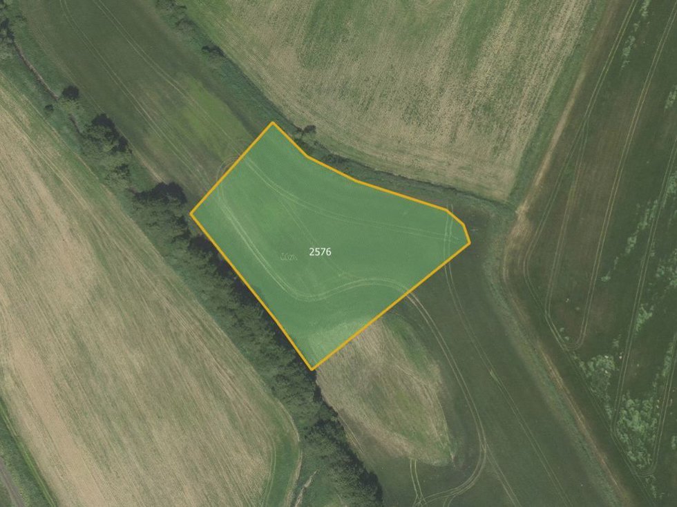 Prodej louky 8040 m², Městečko Trnávka
