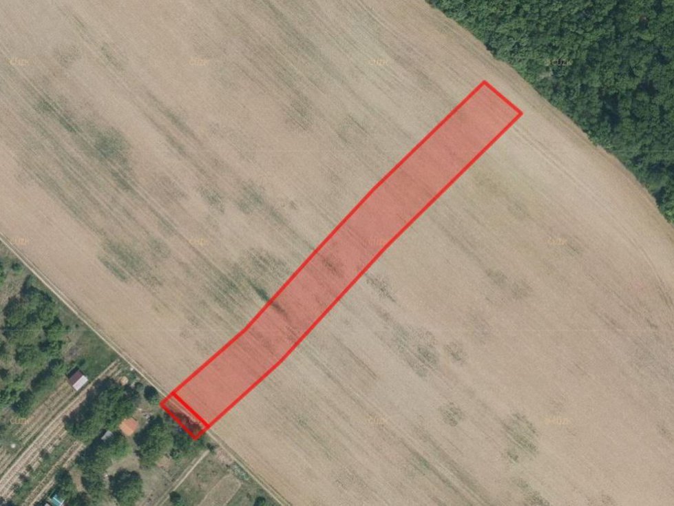 Prodej zemědělské půdy 5984 m², Lovčice