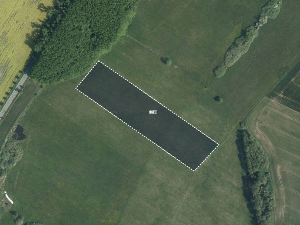 Prodej louky 8831 m², Libišany