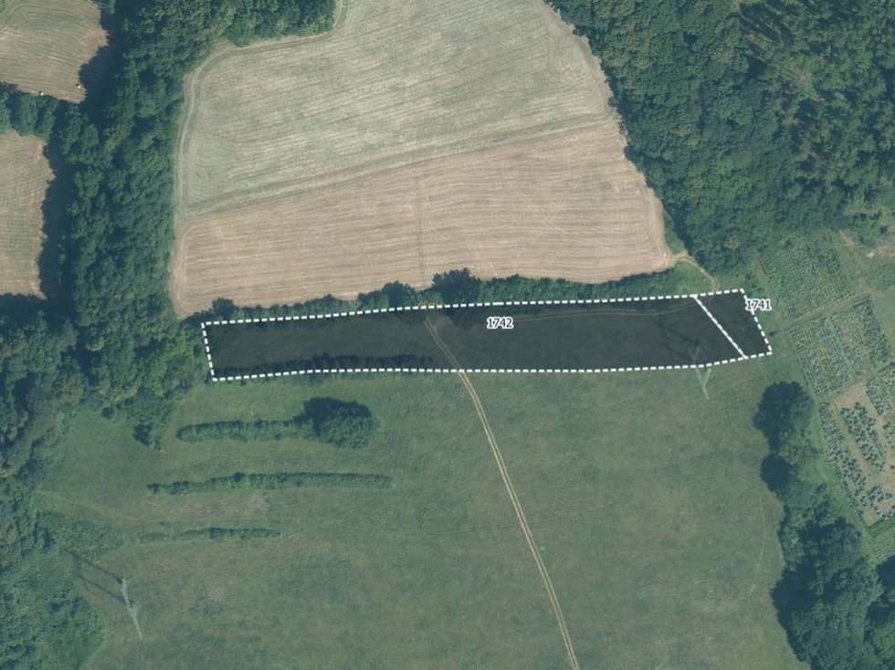 Prodej louky 7348 m², Lešná