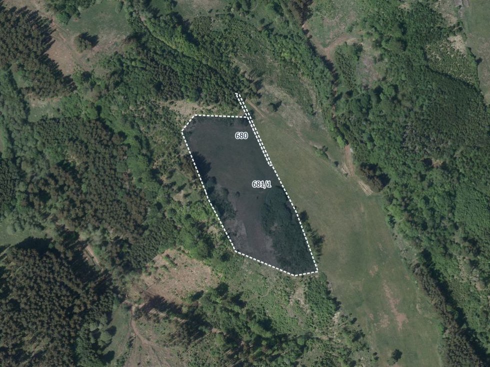 Prodej louky 20084 m², Čistá u Horek