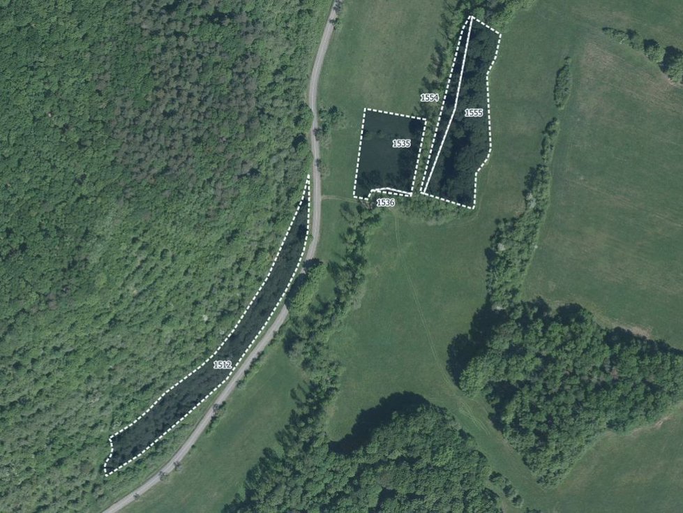 Prodej lesa 27635 m², Bojkovice