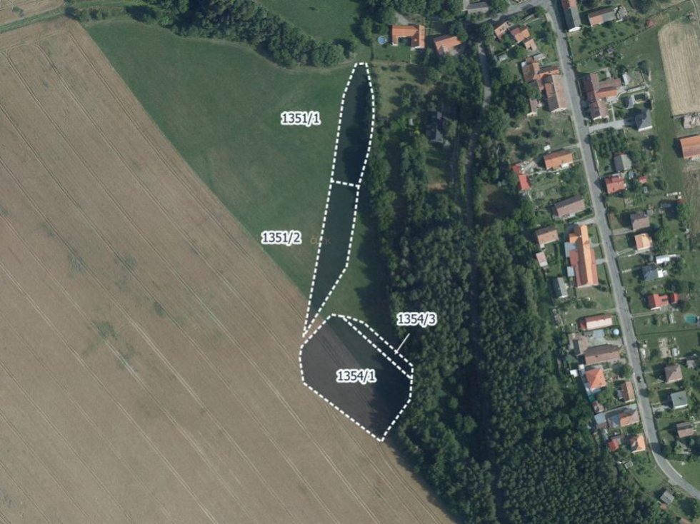 Prodej louky 8701 m², Skuteč