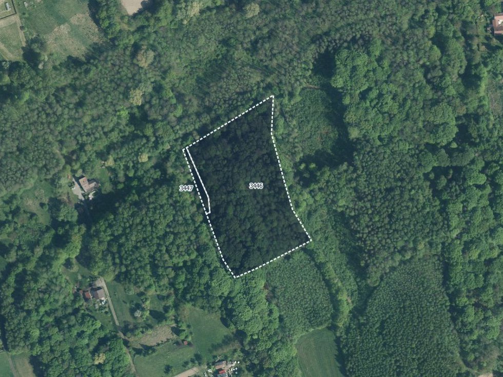 Prodej lesa 10811 m², Doubrava