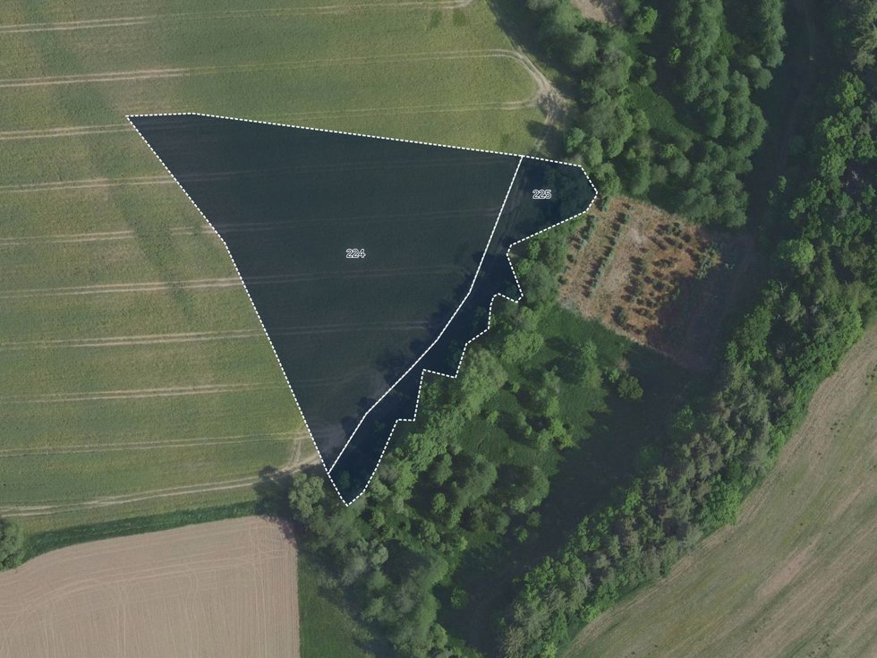 Prodej zemědělské půdy 9341 m², Výžerky