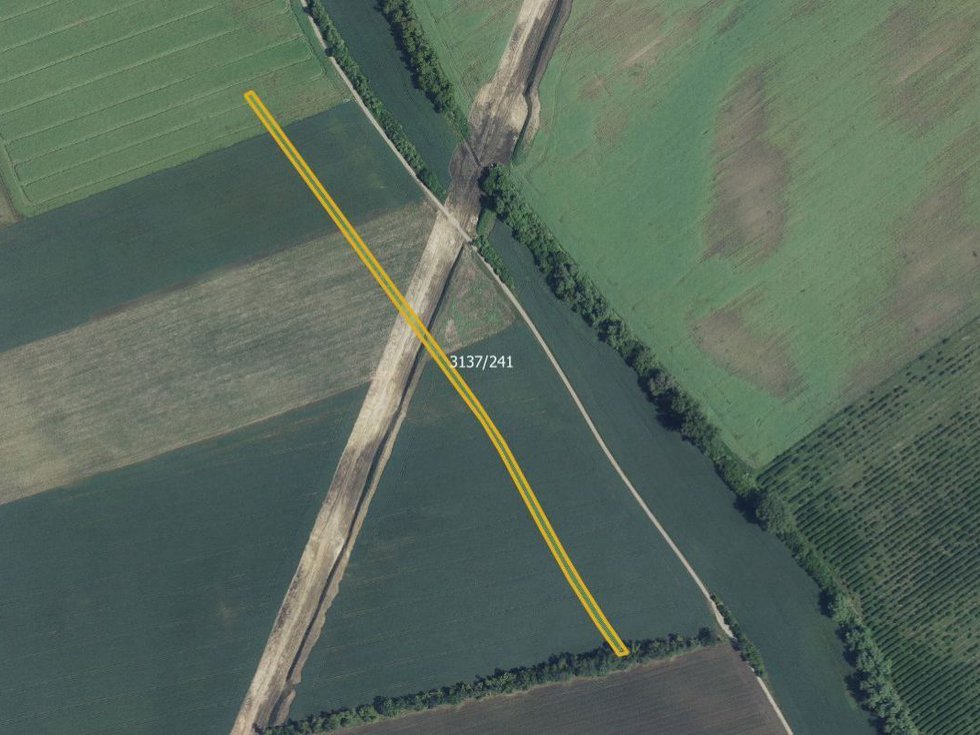 Prodej zemědělské půdy 4991 m², Prušánky