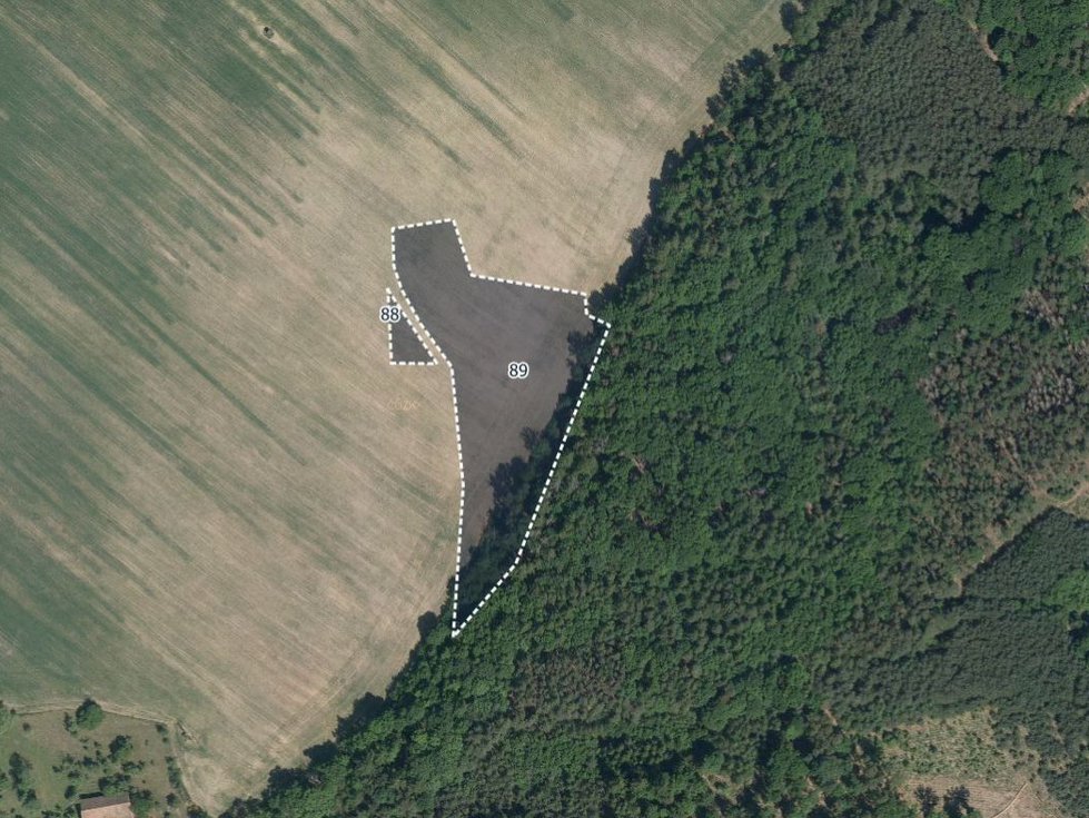 Prodej zemědělské půdy 8621 m², Morašice