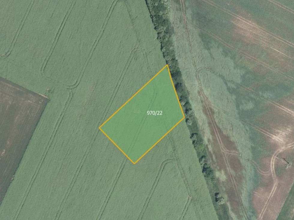 Prodej zemědělské půdy 6328 m², Dolní Dubňany