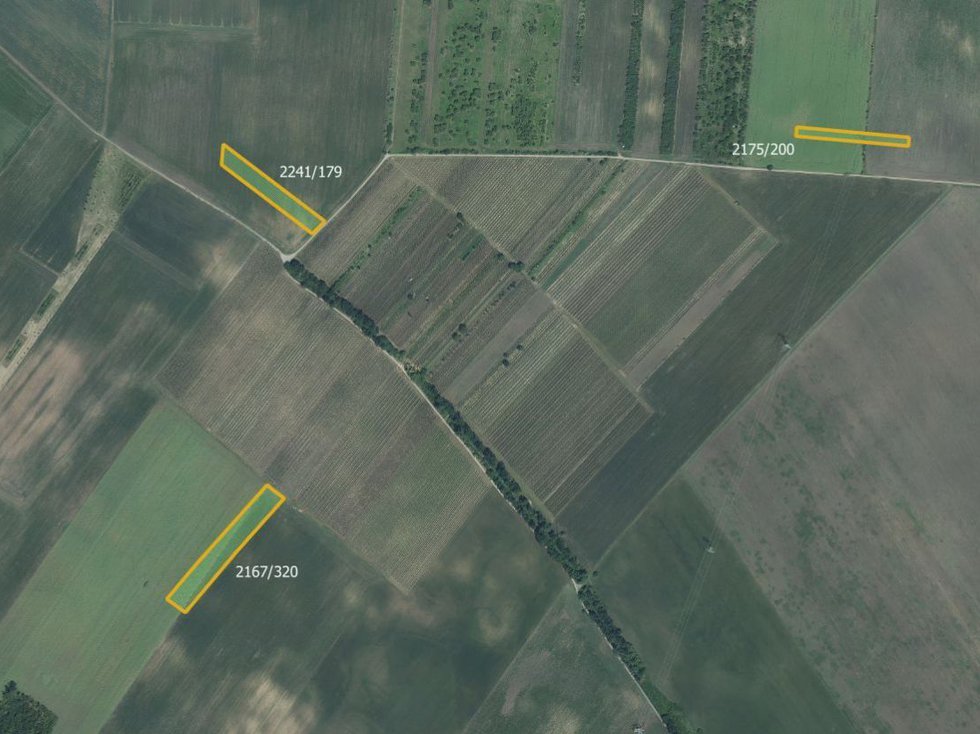 Prodej zemědělské půdy 22192 m², Hrušky
