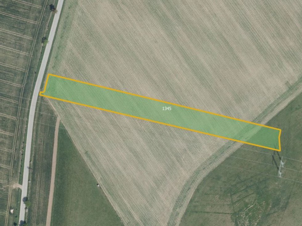 Prodej zemědělské půdy 6000 m², Číhošť