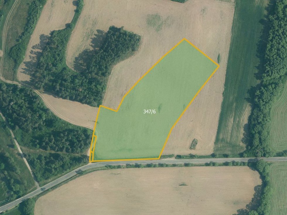 Prodej zemědělské půdy 45700 m², Velký Bor