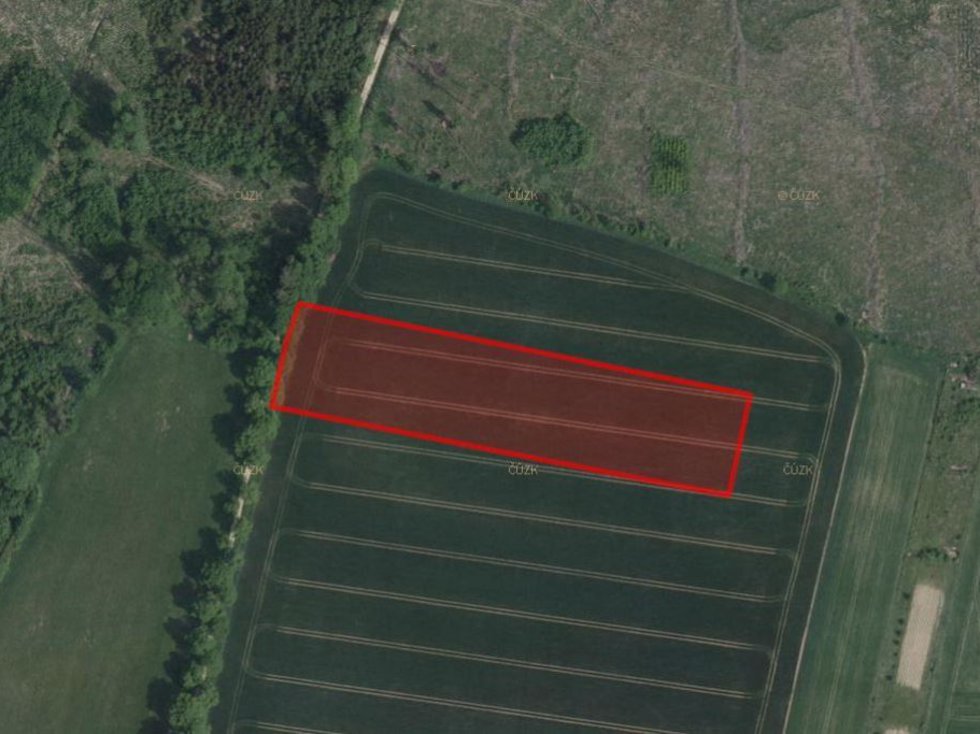 Prodej zemědělské půdy 10584 m², Jamné