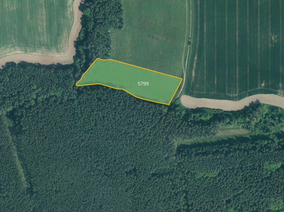 Prodej louky 9492 m², Slabčice