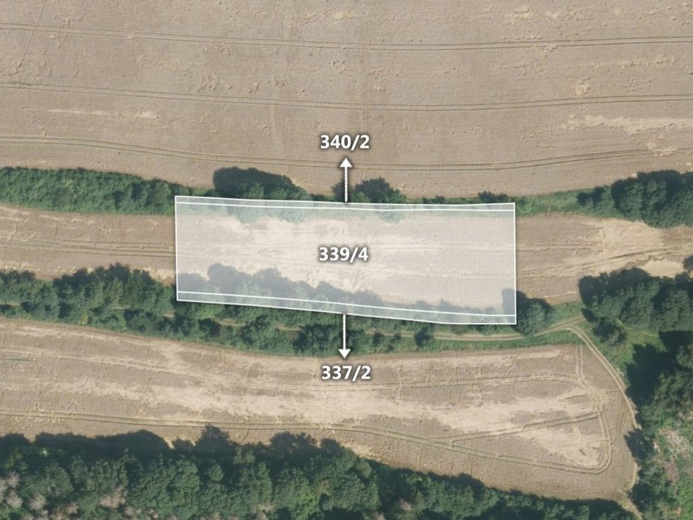 Prodej zemědělské půdy 15375 m², Hartmanice