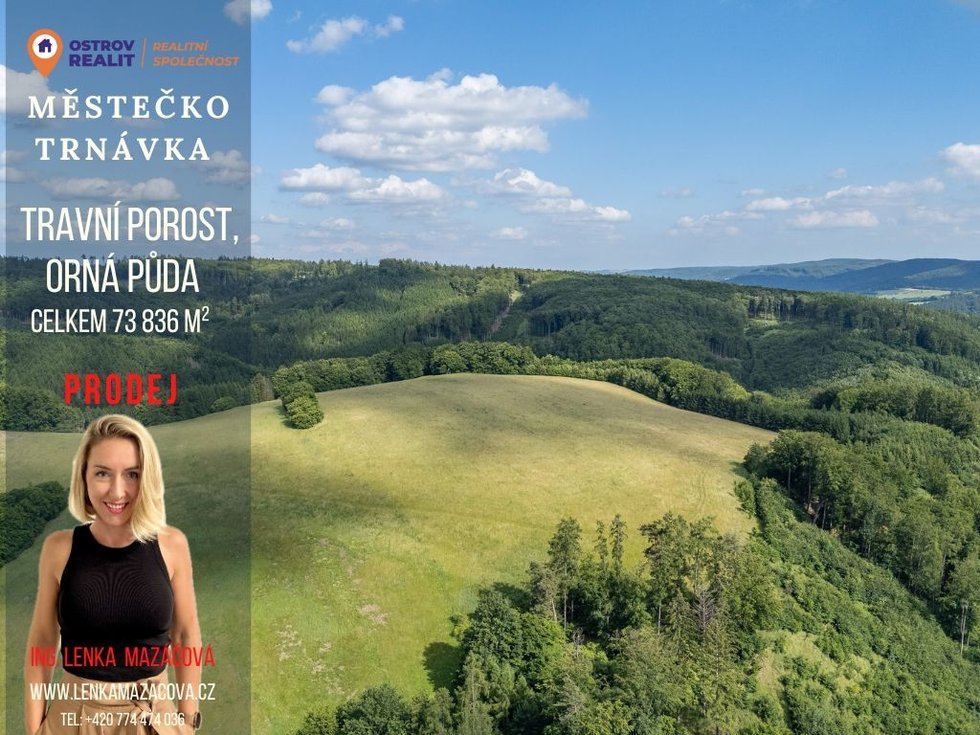 Prodej zemědělské půdy 73836 m², Městečko Trnávka
