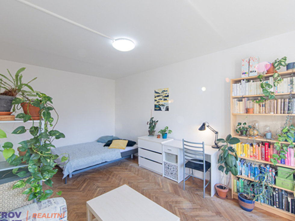 Pronájem bytu 2+1 53 m², Olomouc