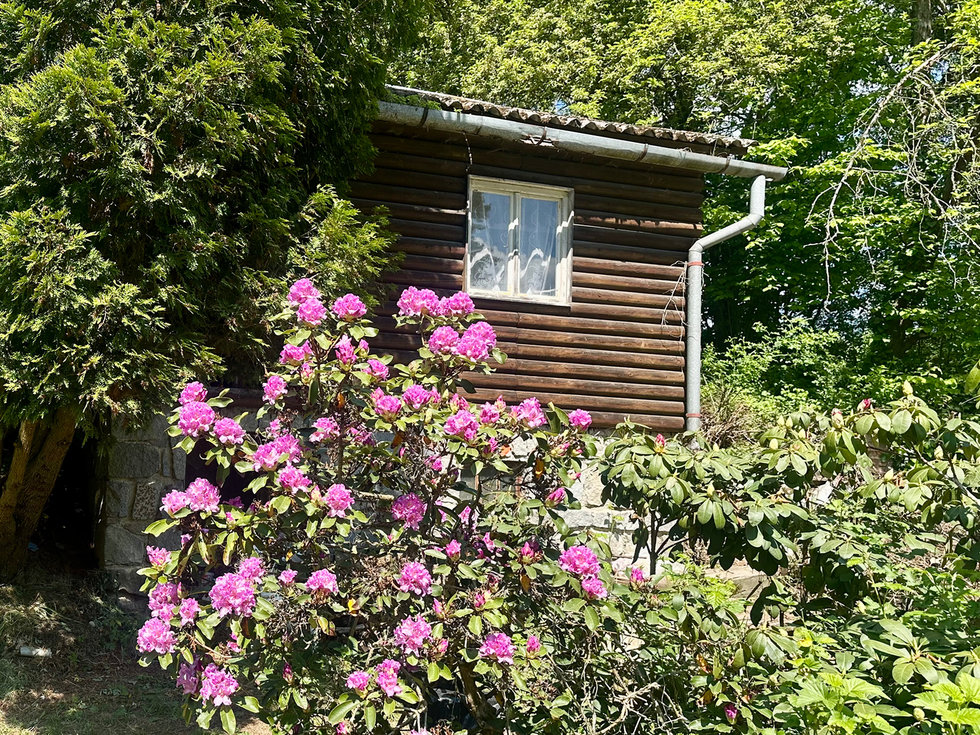 Prodej zahrady 601 m², Zábřeh