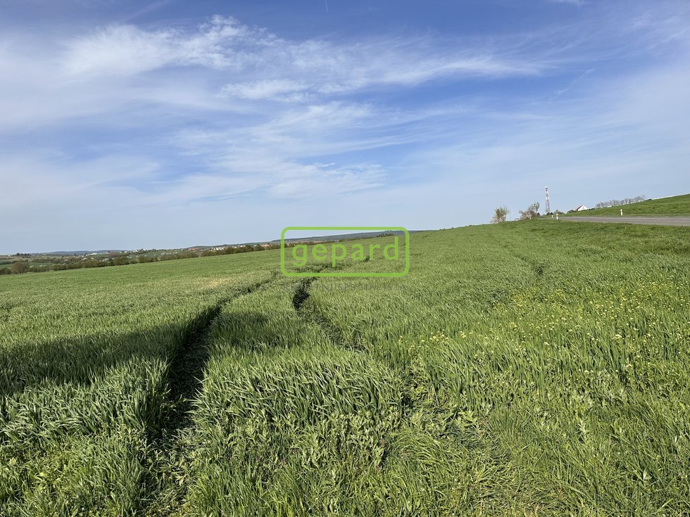 Prodej zemědělské půdy 5446 m², Brno