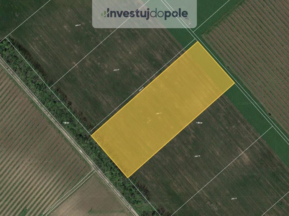 Lednice na Moravě 9.jpg