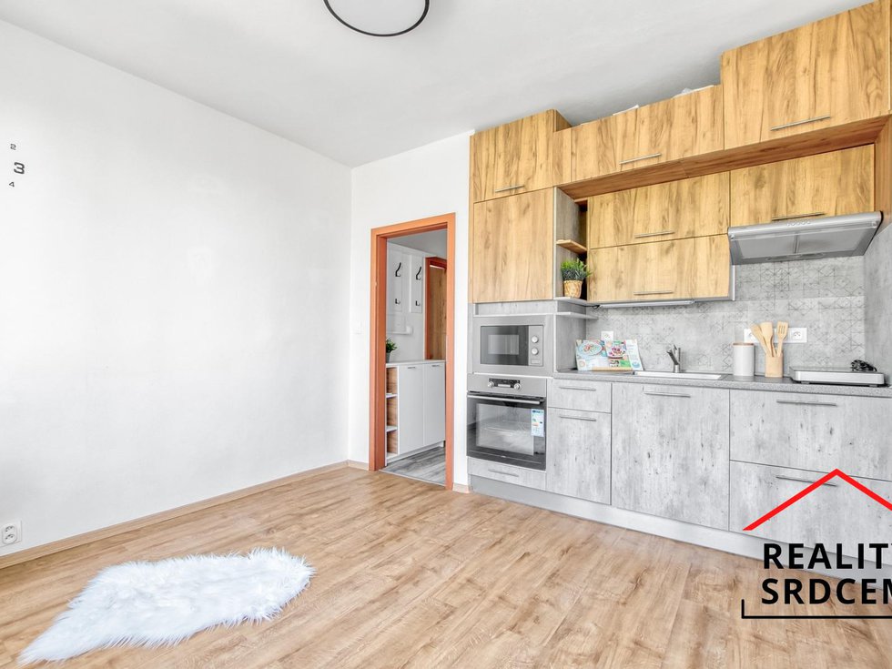 Pronájem bytu 1+1 37 m², Karviná