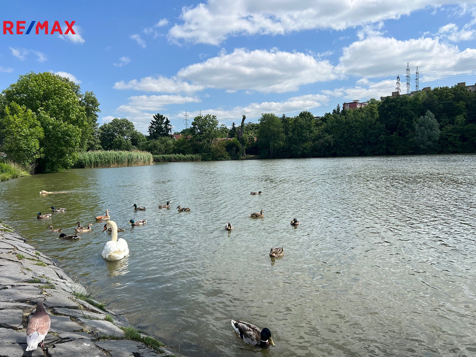 Pronájem bytu 2+kk 46 m², Praha