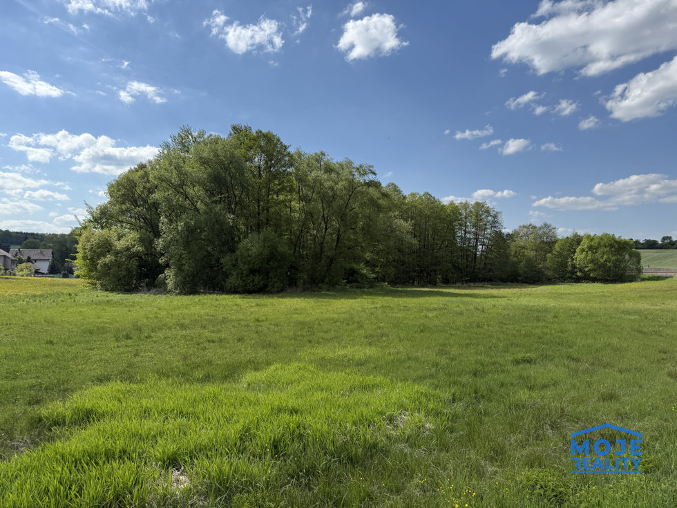 Prodej zemědělské půdy 3898 m², Příkosice