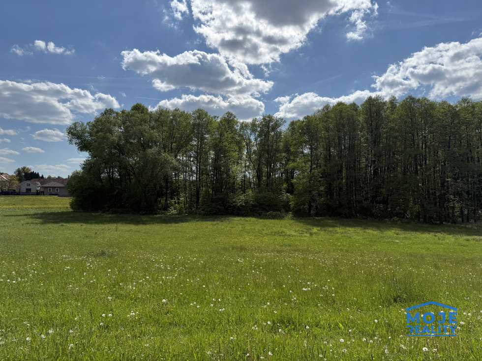 Prodej stavební parcely 3898 m², Příkosice