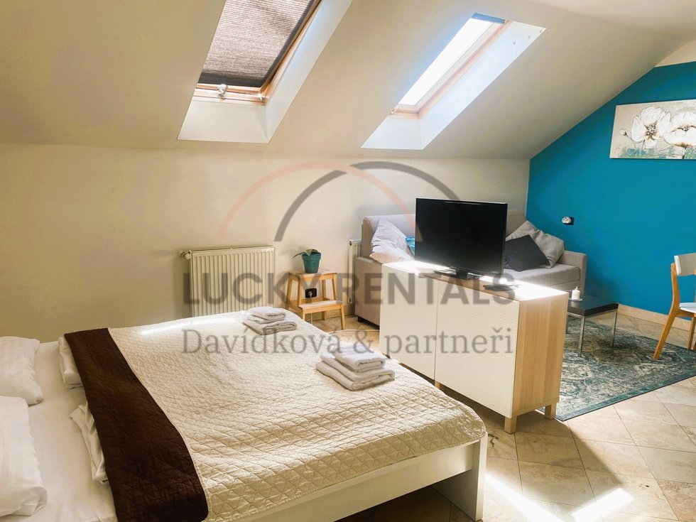 Pronájem bytu 1+kk, garsoniery 38 m², Praha